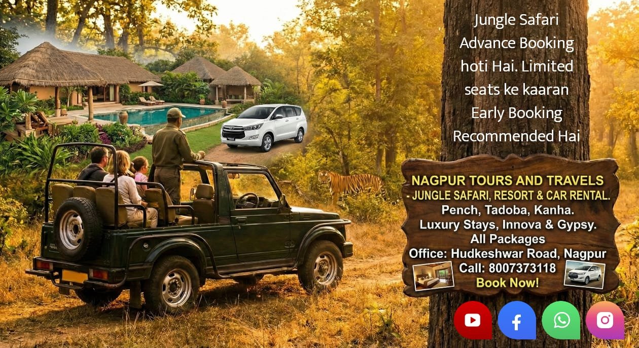 8fe93cf7-dfc8-45c2-ad21-bbe2b6a91c5e